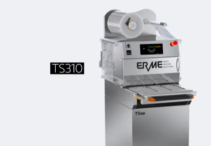TS310