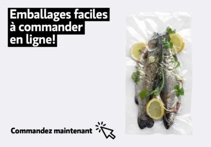 Online Shop Teaser FR